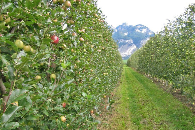 - RIPRODUZIONE RISERVATA