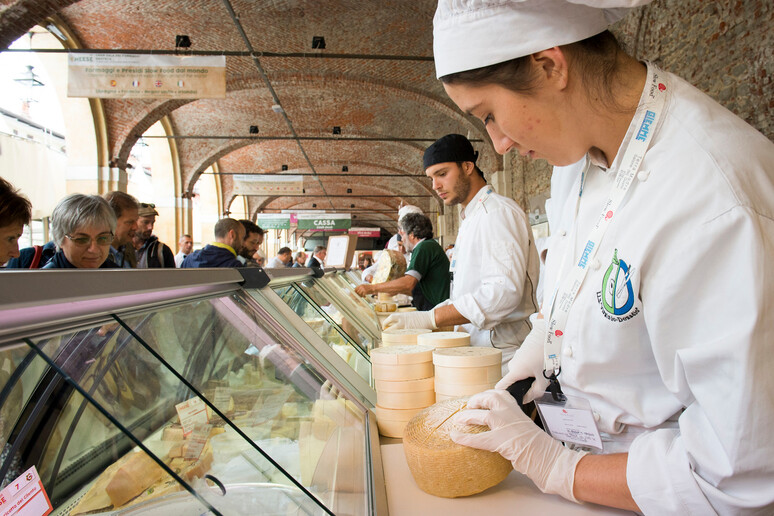 Los agro-alimentos con un valor agregado de 67 mil millones de euros por año - TODOS LOS DERECHOS RESERVADOS