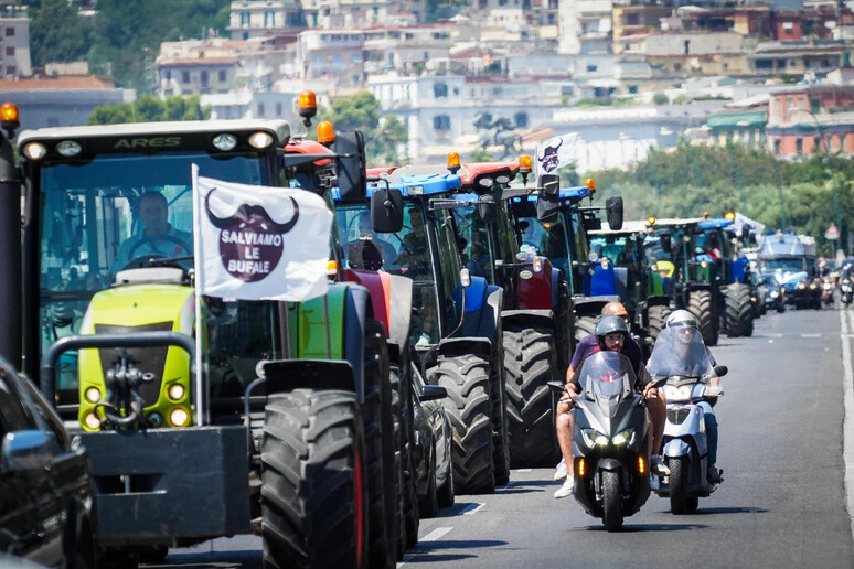 - RIPRODUZIONE RISERVATA