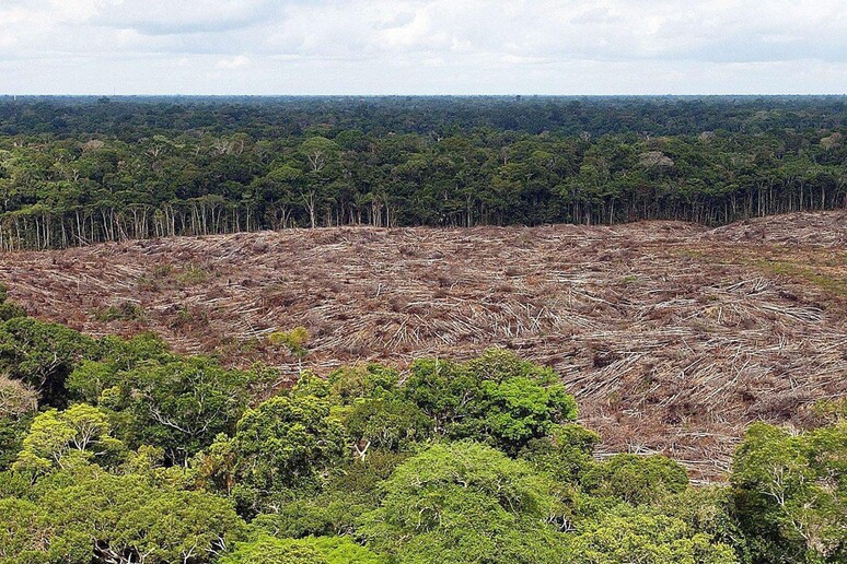 Área desmatada na Amazônia brasileira - TODOS OS DIREITOS RESERVADOS