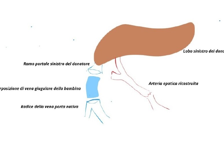 - RIPRODUZIONE RISERVATA