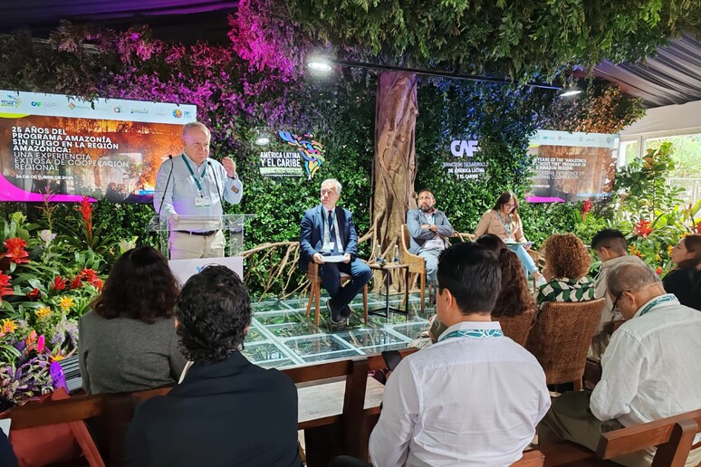 Presentación de la CAF en la Cumbre COP16 - TODOS LOS DERECHOS RESERVADOS