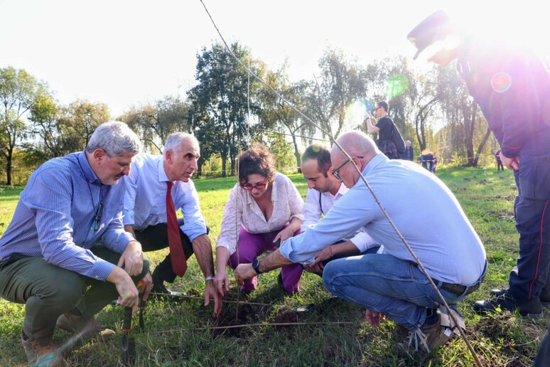 - RIPRODUZIONE RISERVATA