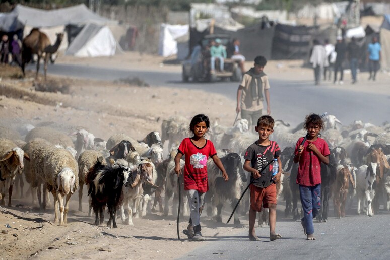 Refugiados palestinos na Faixa de Gaza © ANSA/AFP