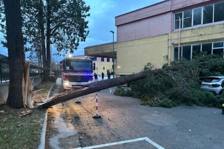 - RIPRODUZIONE RISERVATA