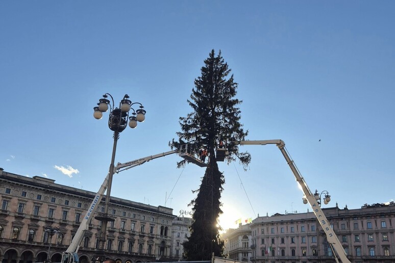 - RIPRODUZIONE RISERVATA