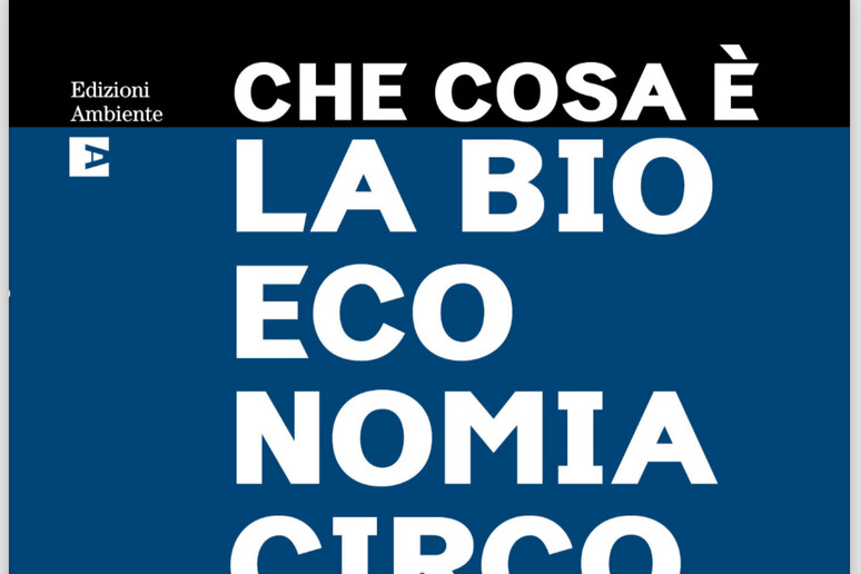 Il libro  'Che cosa è la bioeconomia circolare ' di Mario Bonaccorso (Edizioni Ambiente, 280 pagine, 19 euro) - RIPRODUZIONE RISERVATA