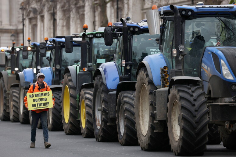 Ok da Ue a Italia a 167 milioni di aiuti per agricoltori - RIPRODUZIONE RISERVATA