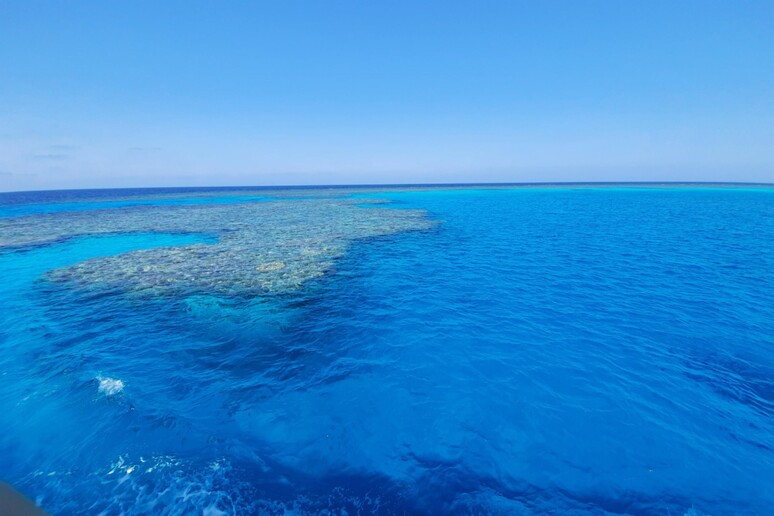 Foto de arquivo do Mar Vermelho em Marsa Alam, no litoral do Egito - TODOS OS DIREITOS RESERVADOS