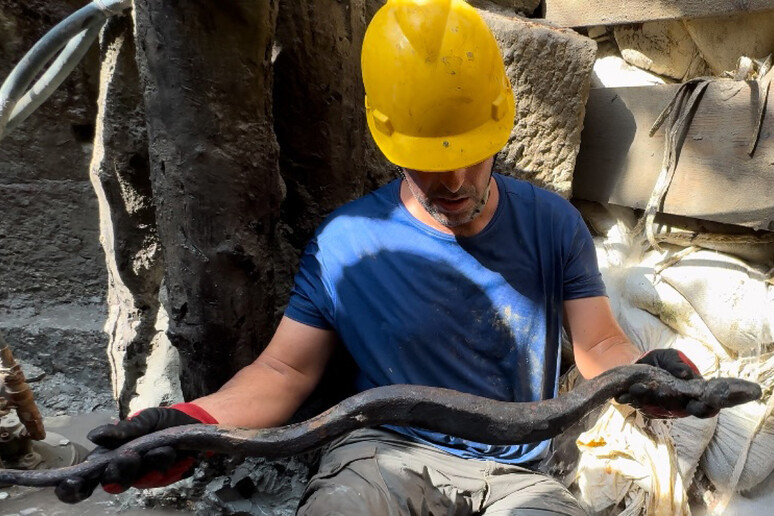 La gran serpiente recuperada del barro en San Casciano dei Bagni. - TODOS LOS DERECHOS RESERVADOS