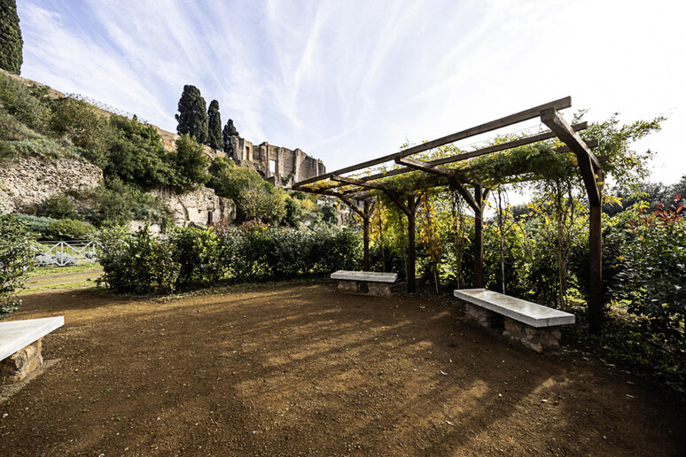 Aurum coronarium é o novo espaço verde do Parque do Coliseu, em Roma - TODOS OS DIREITOS RESERVADOS