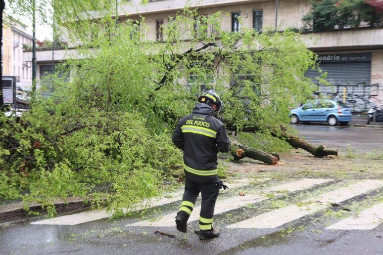 - RIPRODUZIONE RISERVATA