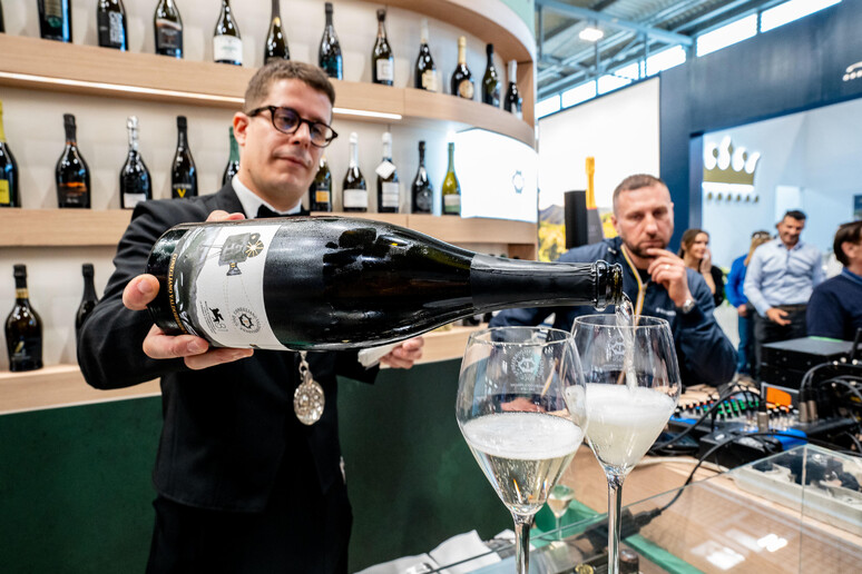 A Treviso gli  'Stati generali ' con i tre Consorzi di tutela del Prosecco © ANSA/FILIPPO VENEZIA