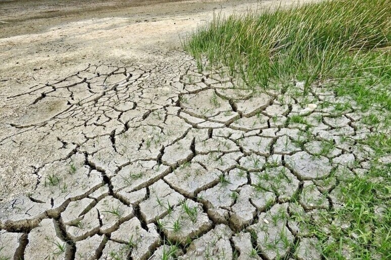 La Coldiretti chiede un tavolo straordinario per la siccità - RIPRODUZIONE RISERVATA