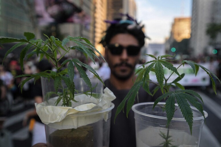 Marcha da Maconha em São Paulo, em 16 de junho © ANSA/AFP