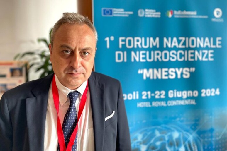 Fabrizio Esposito, dell 'Università della Campania Luigi Vanvitelli - RIPRODUZIONE RISERVATA