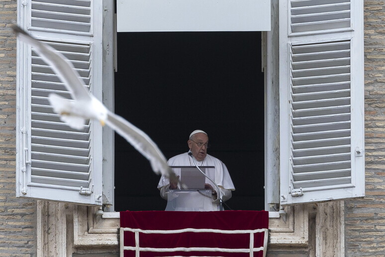 Francisco,  hoy, durante el Angelus - TODOS LOS DERECHOS RESERVADOS