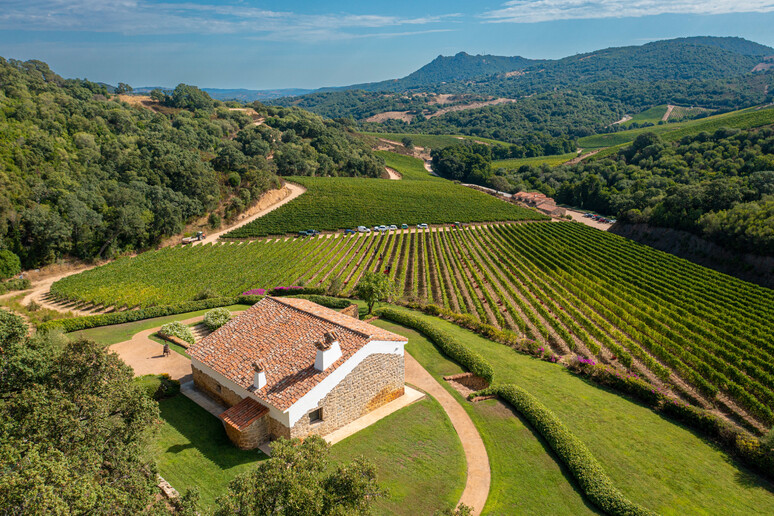 Vinícola do Nudo di Siddùra fica na Sardenha - TODOS OS DIREITOS RESERVADOS