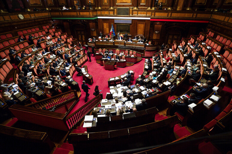 L 'Aula del Senato. Immagine d 'archivio - RIPRODUZIONE RISERVATA