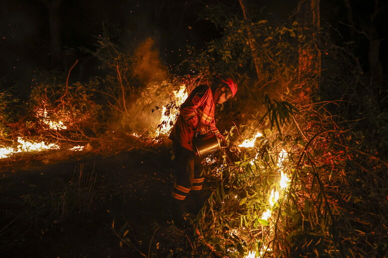 Bombeiro combate incêndio no Pantanal, um dos principais biomas brasileiros © ANSA/EPA