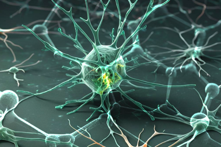 Da elettrodi digrafene future terapie contro malattie neurologiche (fonte: CNR) - RIPRODUZIONE RISERVATA