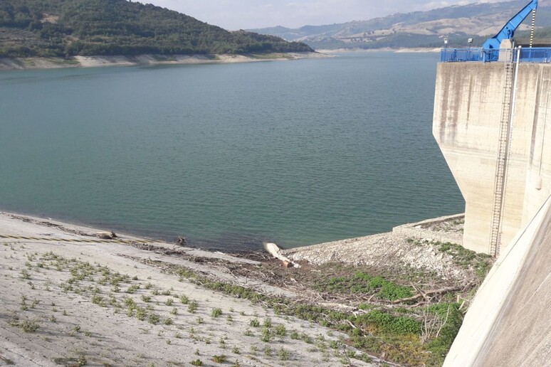 Anbi, fra tre settimane niente acqua per campi al Centrosud - RIPRODUZIONE RISERVATA