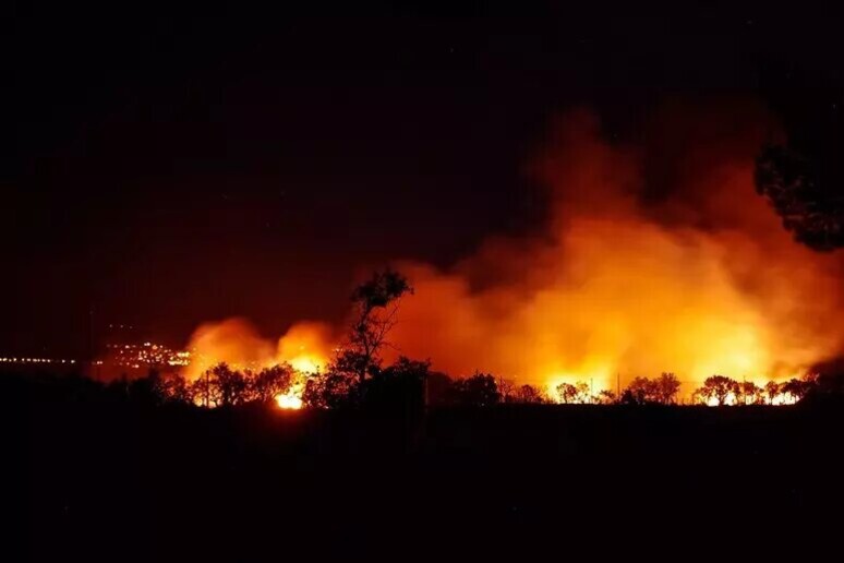 El cambio climático hace que sean cada vez más frecuentes los incendios forestales devastadores. - TODOS LOS DERECHOS RESERVADOS