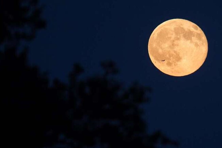 Tras la lluvia de estrellas fugaces, llega la primera Superluna del año (ANSA) - TODOS LOS DERECHOS RESERVADOS