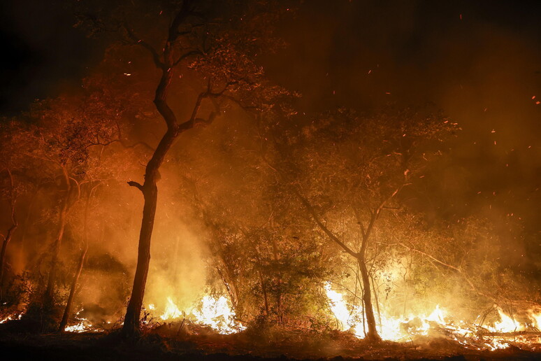 El pantanal en llamas, alerta en Brasil - TODOS LOS DERECHOS RESERVADOS