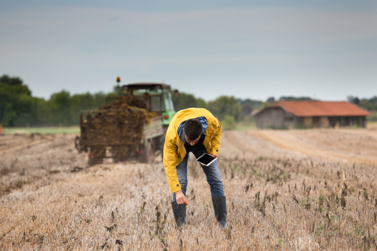 In arrivo le conclusioni unitarie sul futuro dell 'agricoltura - RIPRODUZIONE RISERVATA