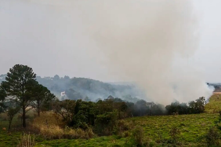 Incêndios em SP deixam cidades em alerta © ANSA/Agência Brasil