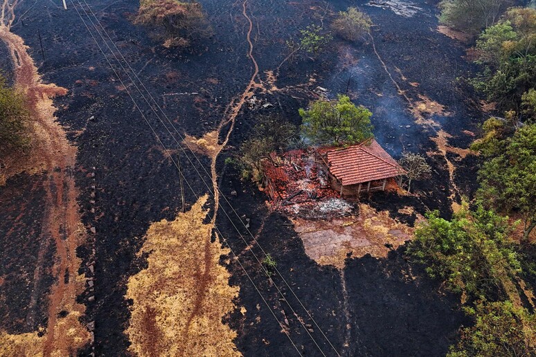 Incêndios provocaram devastação no interior de São Paulo © ANSA/AFP