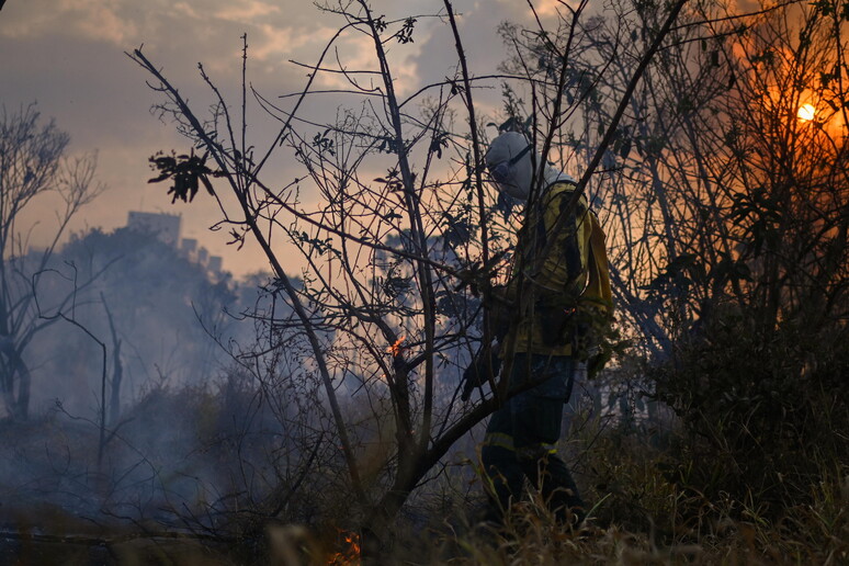 La terrible sequía que sufre Brasil impulsa los incendios. © ANSA/EPA