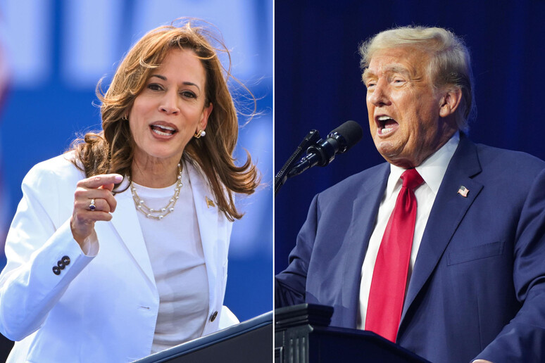 Kamala Harris e Donald Trump disputam estados-pêndulos voto a voto - TODOS OS DIREITOS RESERVADOS