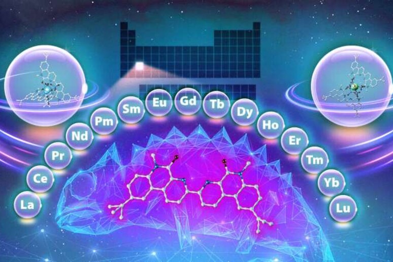 Un ‘camaleonte chimico’ che modifica il suo comportamento in base al pH, legandosi a diversi metalli. Fonte: Adam Malin/ORNL, Dipartimento dell 'Energia degli Stati Uniti - RIPRODUZIONE RISERVATA