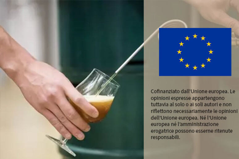 In Ue è boom della birra analcolica, produzione +13,5% nel 2023 - RIPRODUZIONE RISERVATA