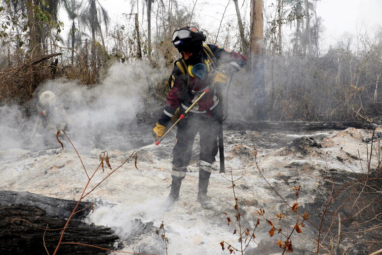 Un bombero boliviano combate uno de los diez focos más graves que hay en el país. © ANSA/EPA