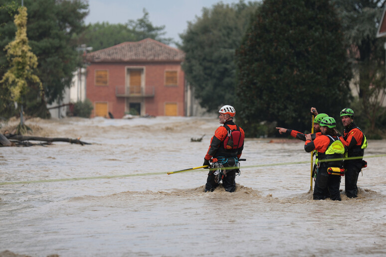 SCATTIDELGIORNO © ANSA/AFP