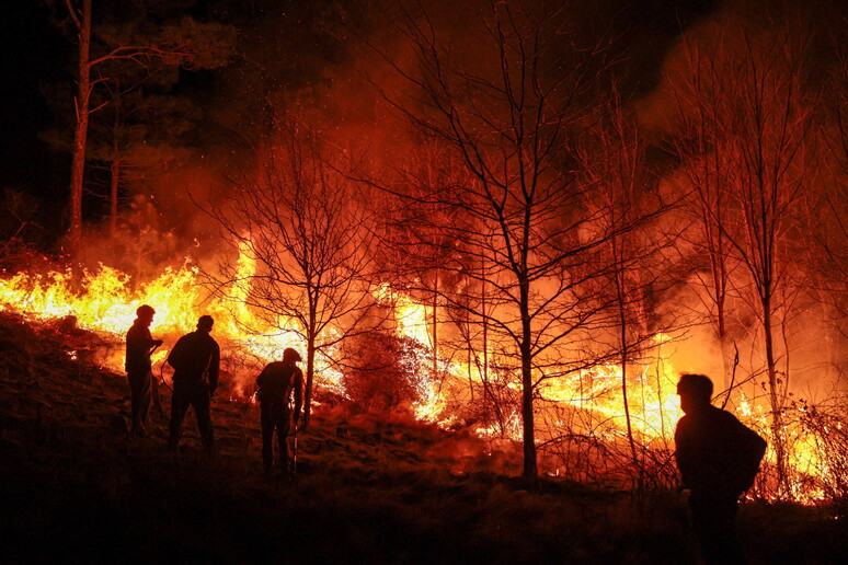 Una Región Vulnerable Y Expuesta A Los Incendios Latinoamerica Ansa It