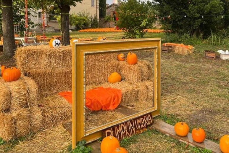 Spoleto se pinta de naranja para celebra sus calabazas - TODOS LOS DERECHOS RESERVADOS