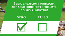 E' vero che alcuni tipi di legna non sono idonei per le grigliate e gli usi alimentari?